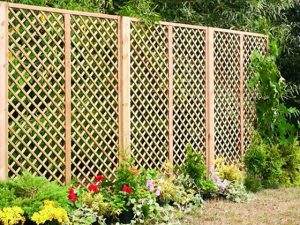 diamond trellis