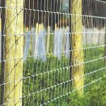 Stock Fencing