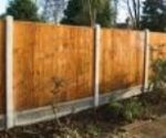 Feather Edge Fence Panels