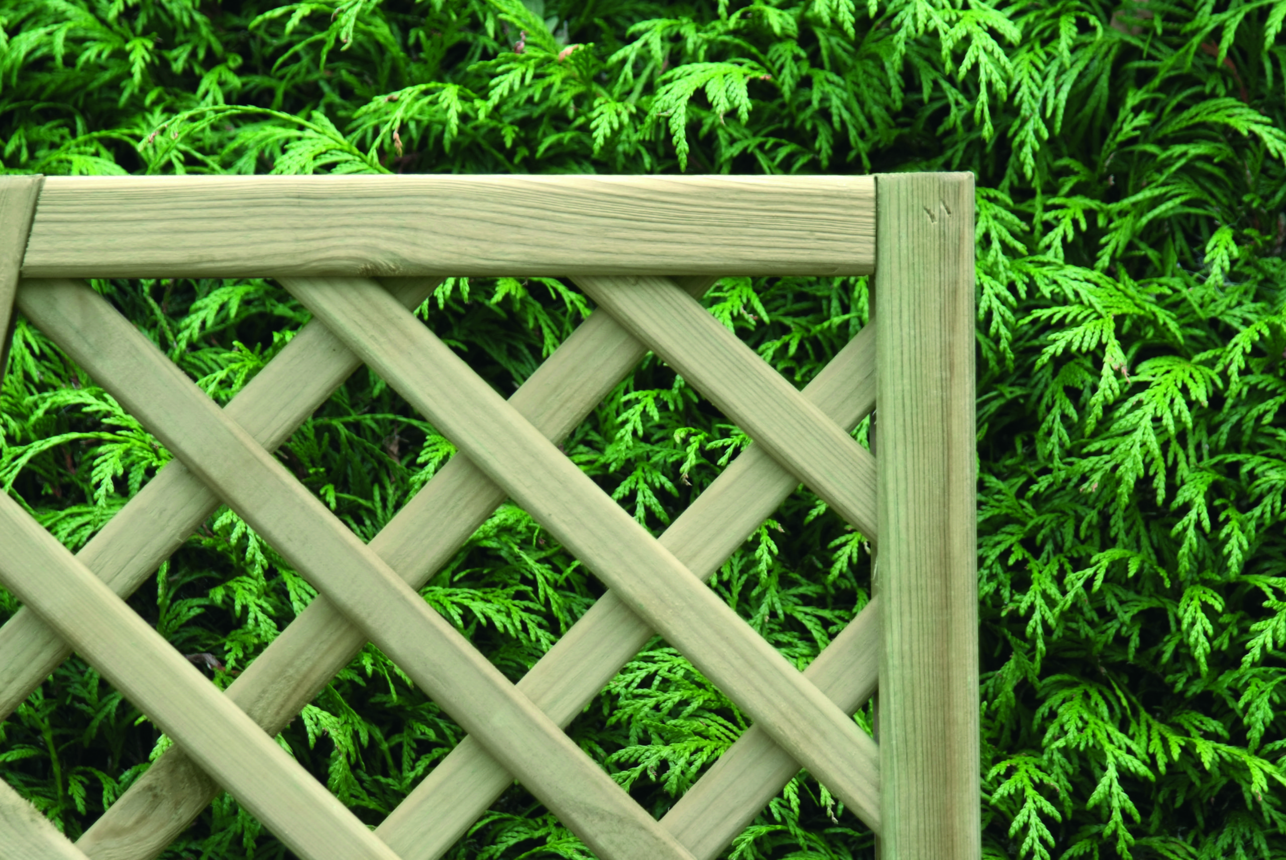 Diamond Trellis Panels Outlets Online, Save 62% | jlcatj.gob.mx