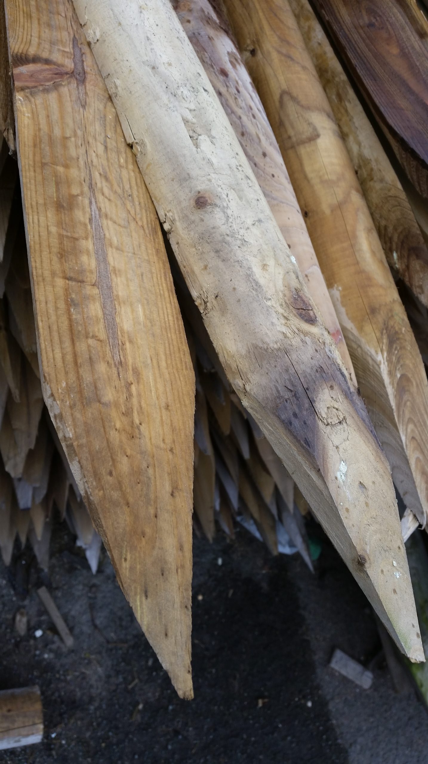 1.8m(6ft) Tanalised Green Half Round Posts Oakdale Fencing