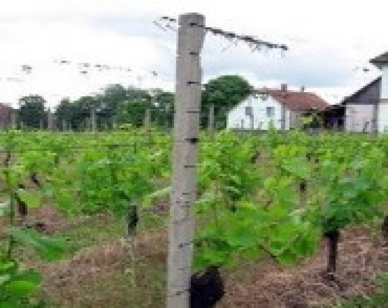 Universal Concrete Fence Post Oakdale Fencing