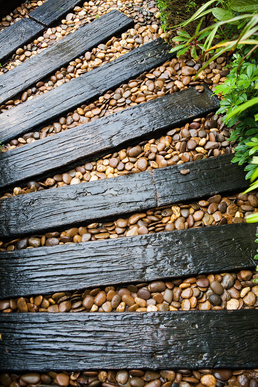 timber sleeper path